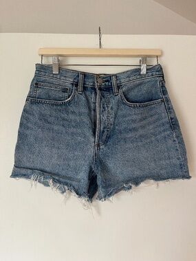 Aritzia Denim Forum Joni Loose Ripped Short
